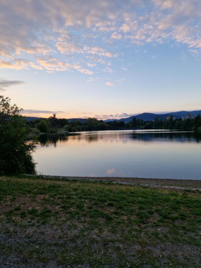 Ferienwohnung Naturini Freiburg im Breisgau Dış mekan fotoğraf